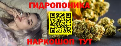 стаф Краснодар