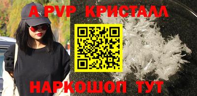 стаф Краснодар